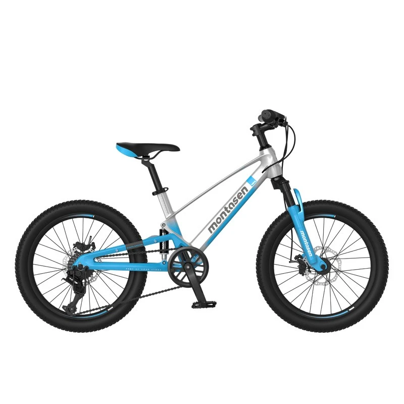 Magnesium Bike For Teenagers suppliers